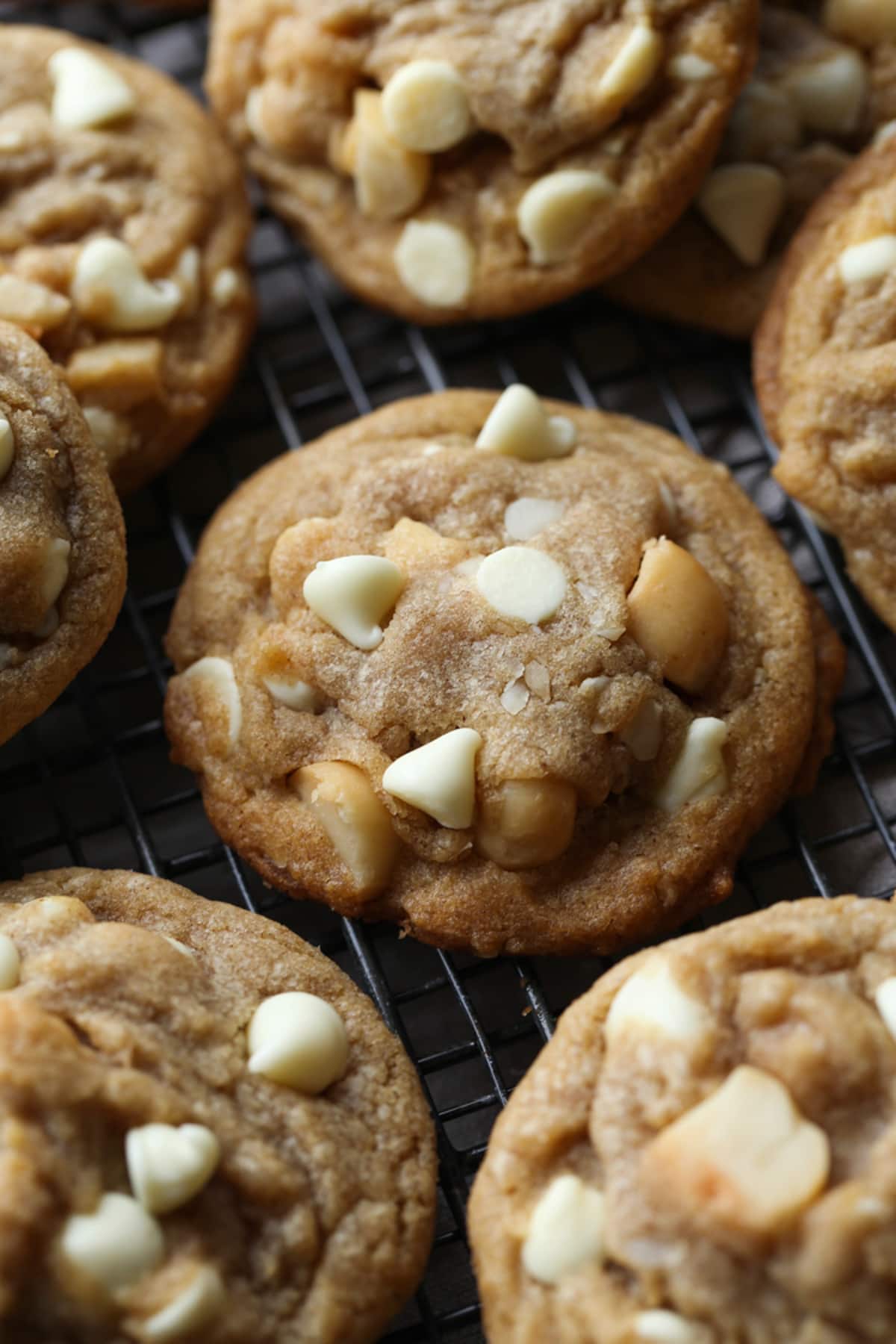 These white chocolate macadamia nut cookies are a classic. They have buttery, crisp edges with chewy centers loaded with creamy white chocolate and salty macadamia nuts. A baked white chocolate chip cookie on a wire cooling rack