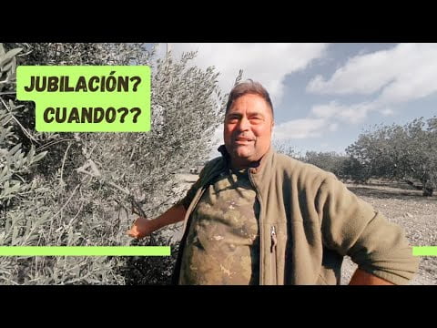 Cómprate una freidora de aire, porque freír con aceite va a ser difícil…