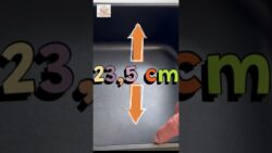 Freidora de Aire Cosori Dual Blaze, funciones y recetas