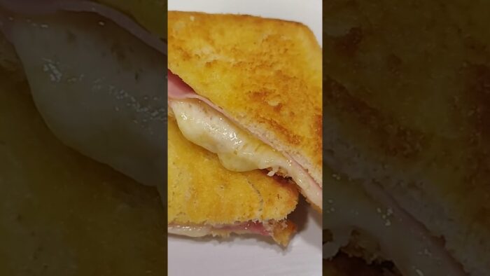Sandwich en Freidora sin Aceite Cecofry DuoHeat 6000 con doble resistencia