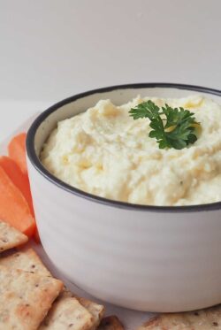 Thermomix French Onion Dip
