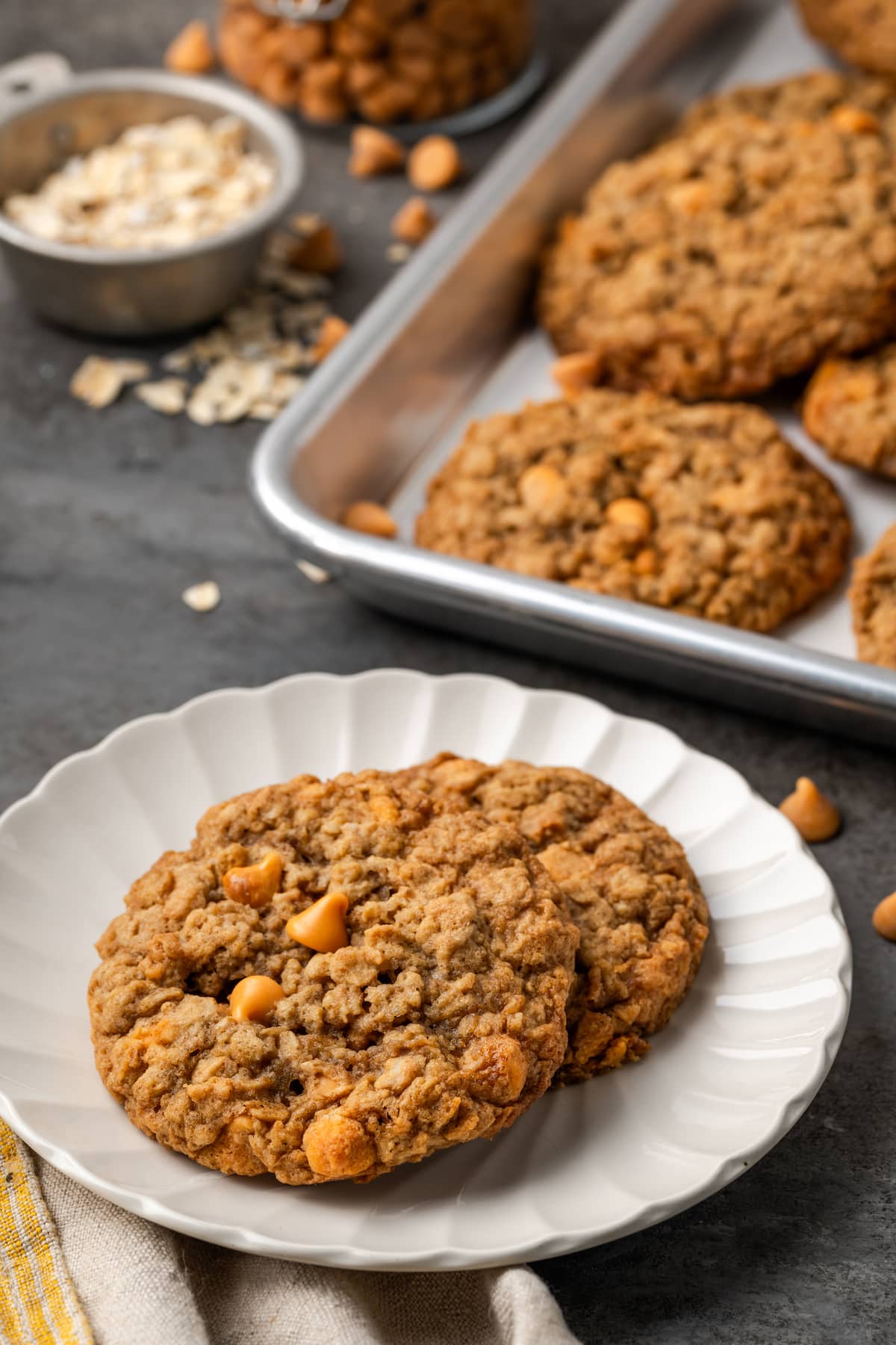 Soft and chewy oatmeal butterscotch cookies are rich and buttery, filled with tender oats, butterscotch morsels, and sweet cinnamon spice. Two oatmeal butterscotch cookies on a white plate, with more cookies on a baking sheet in the background.