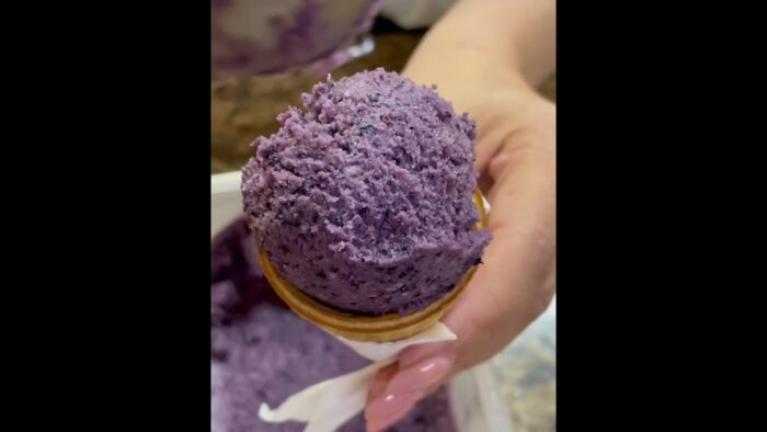 Helado de arándanos con Thermomix 🍦