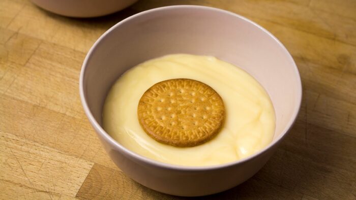 NATILLAS CASERAS CON THERMOMIX – Las más FÁCILES y BUENAS