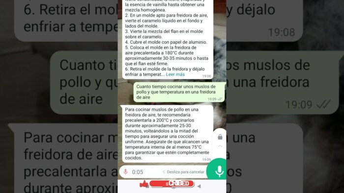 😱NO TE LO PIERDAS😱 Recetas FREIDORA DE AIRE e Inteligencia artificial #freidoradeaire #airfryer