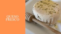 QUESO FRESCO HECHO CON THERMOMIX