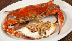 Receta de Centollo para la cena de Navidad o Nochevieja 2023