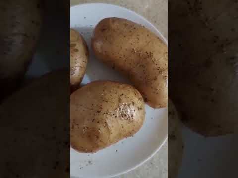 Horno digital con Freidora de aire Oster «Papas al horno»