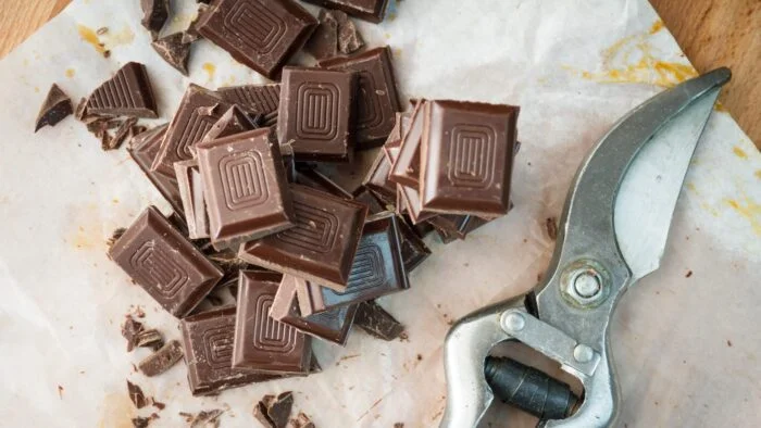 El origen del chocolate en España: una dulce historia que se remonta a la época de los aztecas