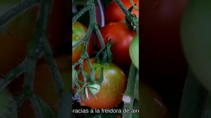 Logra un bacalao jugoso en tu innovadora freidora de aire😍 #air #recetas #freidoradeaire