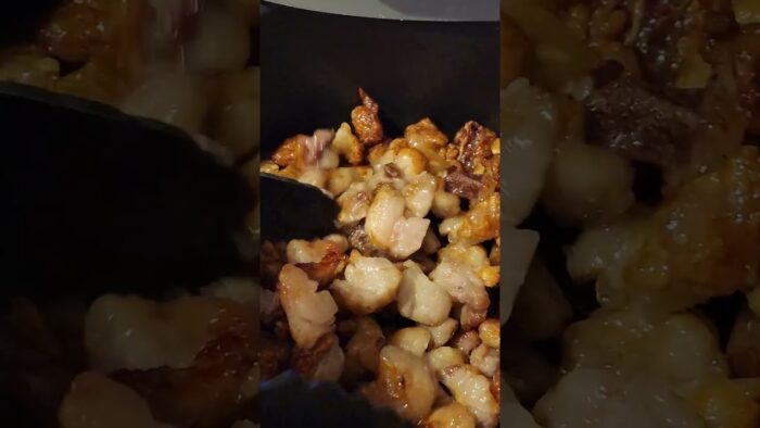 Carnivore Beef Tallow Air Fryer Recipe