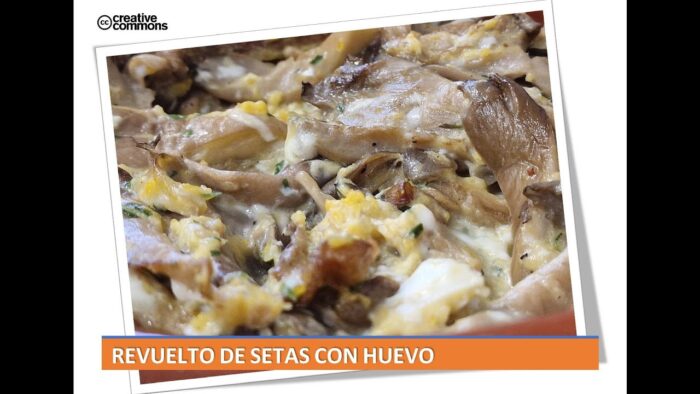 Revuelto de setas con huevo