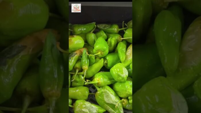 PIMIENTOS DE PADRÓN EN FREIDORA DE AIRE, ¡¡super sencillos y deliciosos!! #airfryer #cocinaespañola