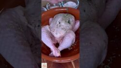 POLLO PICANTÓN en la FREIDORA DE AIRE. ¡¡Muy jugoso y sencillo de preparar!! #recetas #airfryer