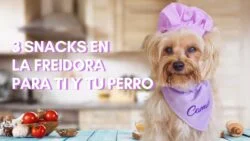 3 snacks saludables en la freidora para ti y tu perro | Recetas en la freidora de aire