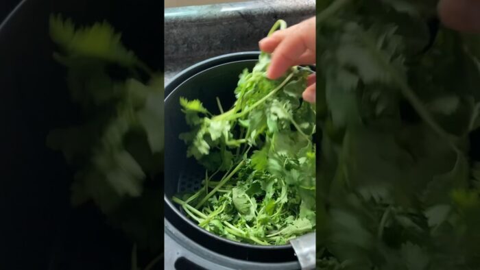 Como deshidratar tu cilantro en la freidora de aire 👩🏻🍳👌 #cocinandoencasadehicel