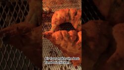 The best Tandoori chicken recipe  in Air fryer #shorts #foodie #foodshorts