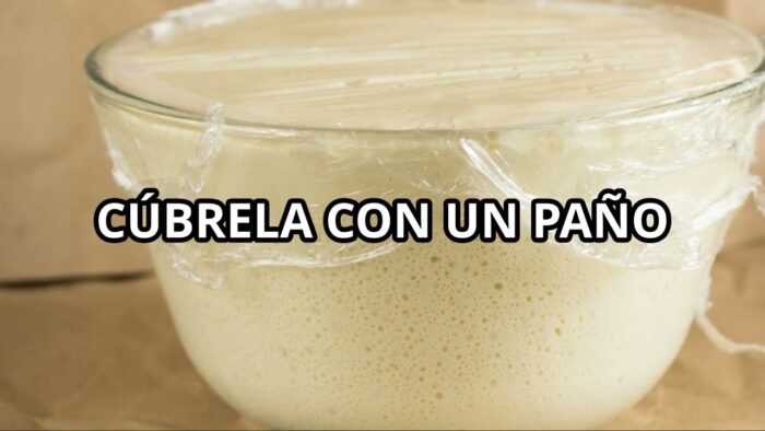 Panecillos en Freidora de Aire Receta Fácil y Saludable