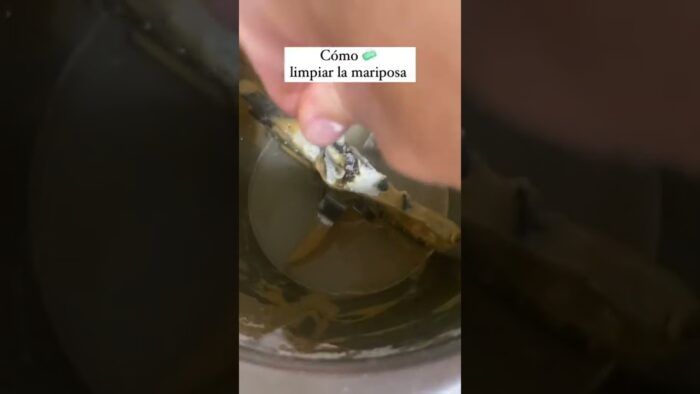 🧼Cómo LIMPIAR 🧼 y COLOCAR la MARIPOSA  del #thermomix FÁCILMENTE
