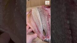 DORADA EN LA FREIDORA DE AIRE, ¡¡ jugosa y muy fácil de preparar!! #recetas #airfryer #cosori