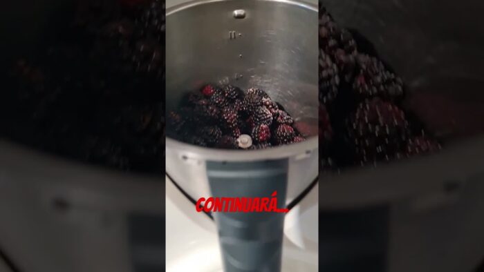 Mermelada de Mora #artesanal #recetasfacilesenolladecoccionlenta #postre #thermomix