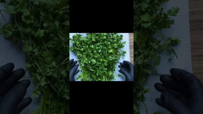 Receta o Truco para conservar Vegetales ☘️