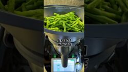 Fagiolini al pomodoro con Thermomix® | #ricettefacili #thermomixsvizzera