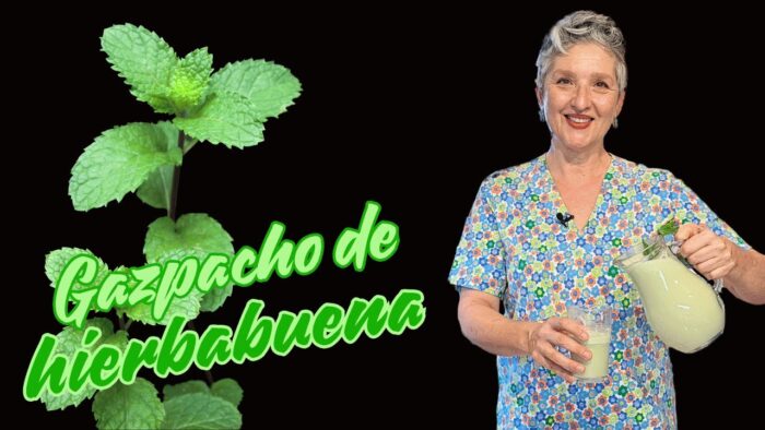 🌿 GAZPACHO DE HIERBABUENA 🌿 Refréscate con Thermomix®  #TM6  🔝