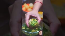Panipuri Papad in air fryer #airfryer #food #recipe #trending #shorts