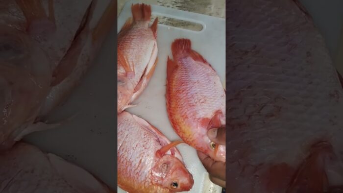 Pescado frito en la freidora de aire