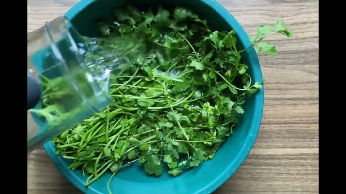 Receta o Truco para conservar Vegetales ☘️