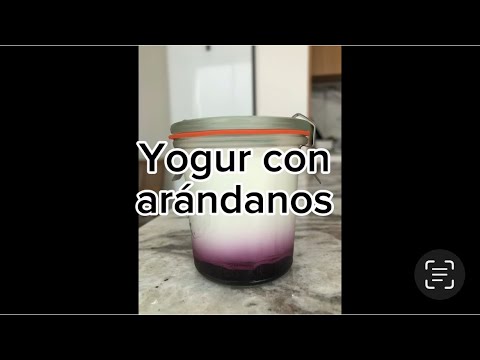 Yogur con arándanos en Thermomix
