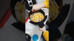 freidora de aire patatas estilo Foster