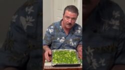 Air fryer brussels sprouts – simple, two ingredient recipe