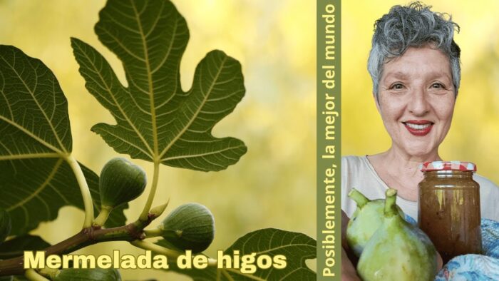 🍯 MERMELADA DE HIGOS 🍯 POSIBLEMENTE LA MEJOR MERMELADA DEL MUNDO con Thermomix® #TM6 🔝