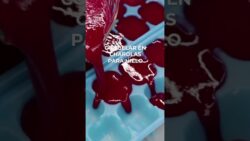 NIEVE DE TUNA ROJA en Thermomix