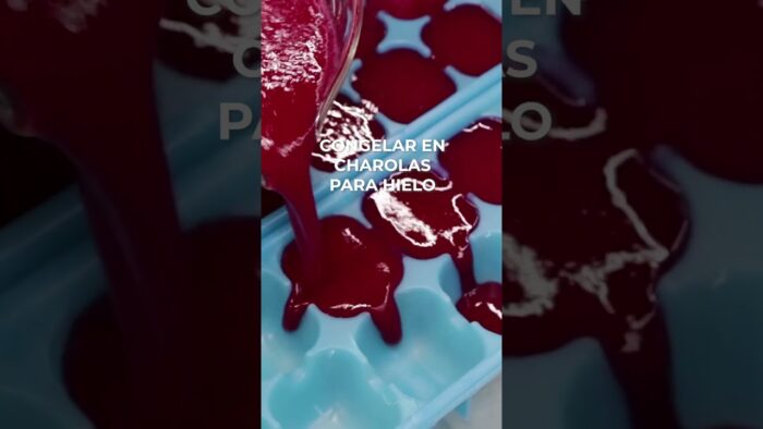 NIEVE DE TUNA ROJA en Thermomix