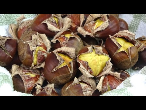 CASTAÑAS ASADAS🌰 (En FREIDORA de AIRE) ¡¡Resultado SORPRENDENTE!! ¡¡En Pocos Minutos!!