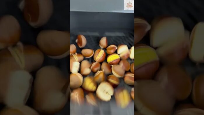 CASTAÑAS  EN FREIDORA DE AIRE, el sabor de toda la vida más sencillo de conseguir #airfryer #receta