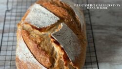 PAN 🥖 CASERO GALLEGO CON MASA MADRE EN THERMOMIX 6!!