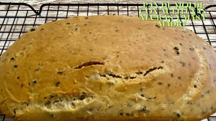 PAN 🍞 CON ACEITUNAS Y MASA MADRE CON THERMOMIX 6!!