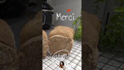 Pain de mie à la farine complète #recette en description #thermomix #paindemie #food  #foryoupage