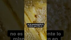 ¿Merece la pena comprar una freidora de aire? ✅
