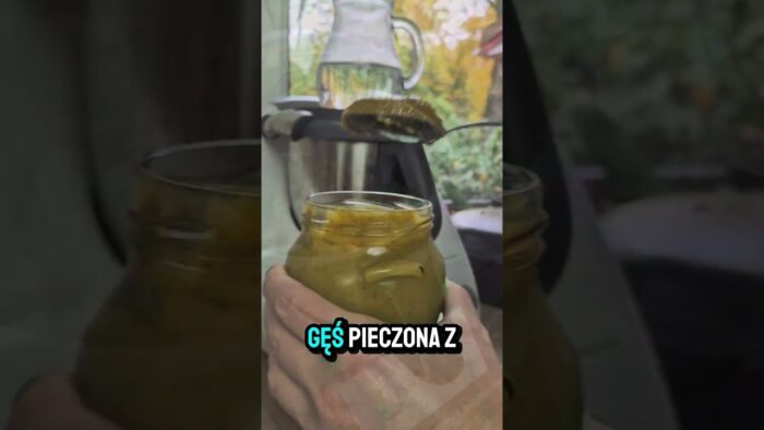 Gęś pieczona z jabłkami z Thermomix. Polski tradycyjny obiad na Święto Niepodległości #cookidoo