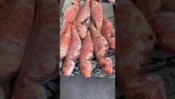 SALMONETES EN LA FREIDORA DE AIRE O FRITOS EN SARTÉN, ¿Cuál prefieres? #airfryer #receta