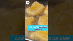 ¿Es sano cocinar en una freidora de aire? | Reporte Indigo