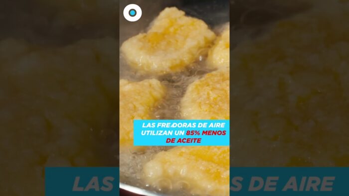 ¿Es sano cocinar en una freidora de aire? | Reporte Indigo