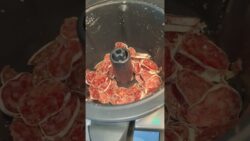 Accesorio cortador de Thermomix