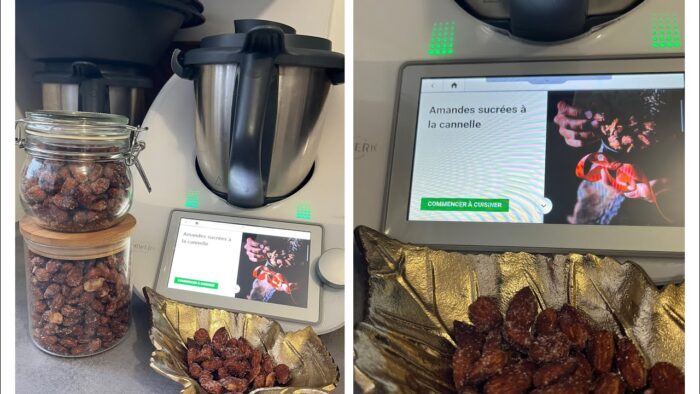 Amande sucrée à la cannelle au thermomix