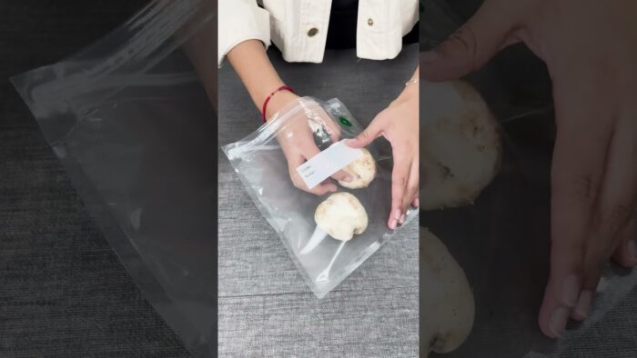 Bundle al Vacío Thermomix® | Todo lo que puedes lograr #Thermomix #Foodie #sousvide